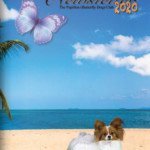 Summer Newsletter 2020 – Issue 190